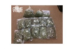 Search Warrant Exposes Honey Oil Lab