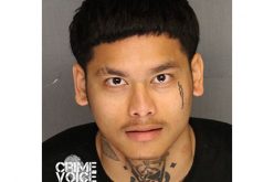 Gun Violence in Louis Park Temporarily Halted