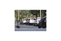 Domestic Violence Incident, Barricade Situation (Twice)