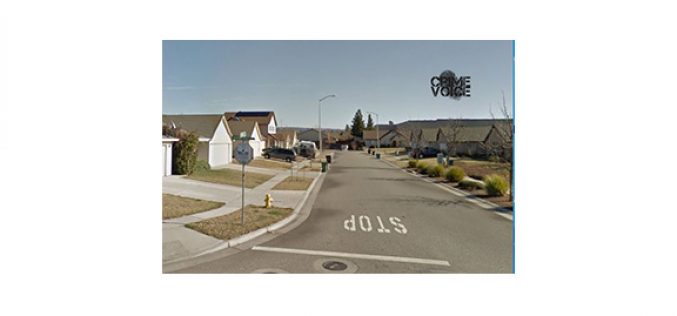 Newly Released Juvenile Re-offends with Theft From Vehicle