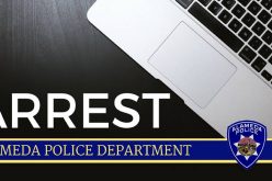 Snatch-and-Grabbers Snatched