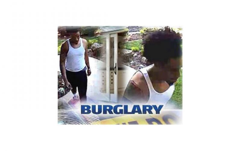 Police Searching for Residential Burglar Who Stole Safe