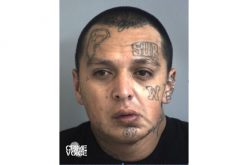 Records Check Results in Many Drug Charges