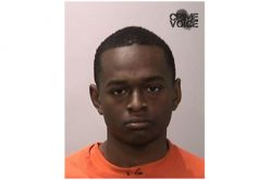 Jones and Hale, Not a Law Firm