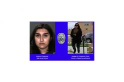 Porch Pirate Captured on Camera