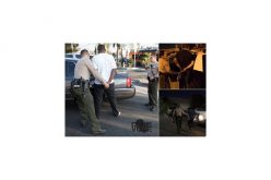 Human Trafficking Operation Rescued Two Juveniles, Arrested 26