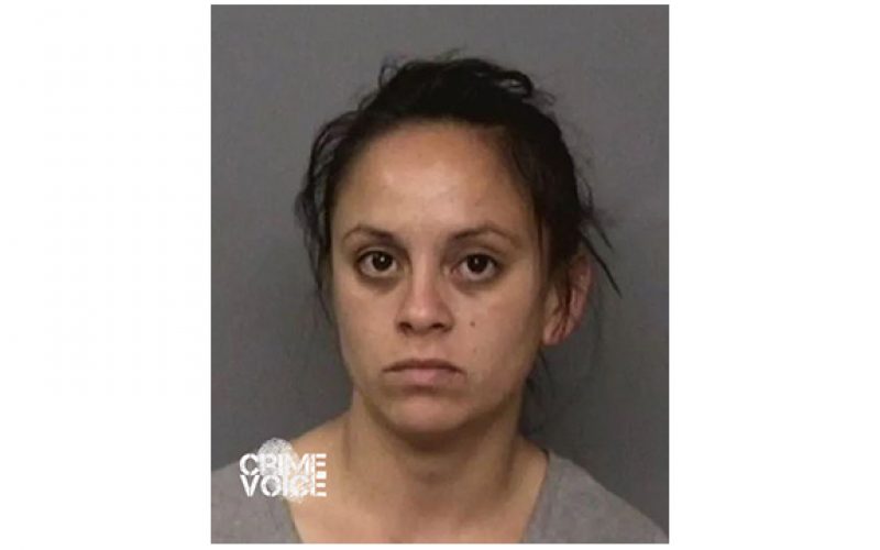 Resident Encountered Two Burglars