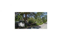 Homeowner Held Would-Be Burglar at Gunpoint