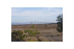 3 Suspected Gang Members Arrested for Assaulting Rivals