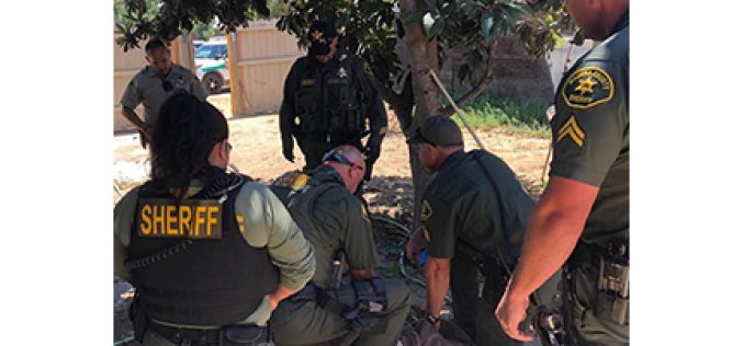 She was Warned not to Trespass….Again