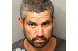 Attempted Carjacking of Elderly Woman