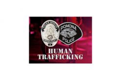 VICE Operation Rescues Child on the Blade