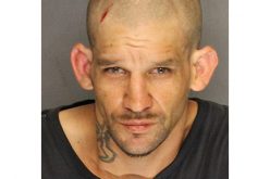 Busy Day for Stockton Law Enforcement, Three Arrests