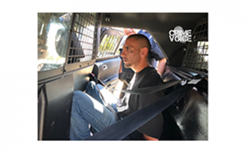 Helpful Neighbor Helps Stop Burglar