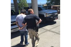 Cannabis Robbery Suspect Turned Himself In