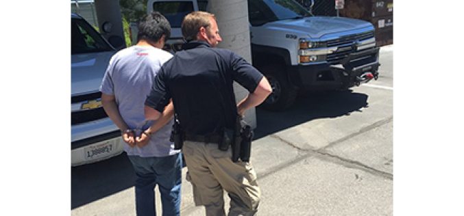 Cannabis Robbery Suspect Turned Himself In