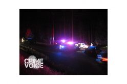 Unreadable License Plate Produces Uncooperative Pair