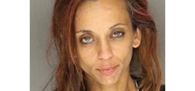 Female Getaway Driver Arrested After Fleeing a ‘Possible Robbery’