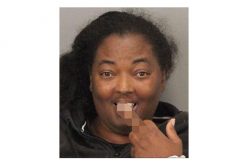 Chase, Fight, K-9 Make for Late Night Arrest Excitement