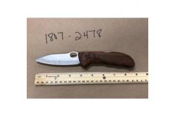 Suspect Arrested for Threatening Employees at Pizza Parlor