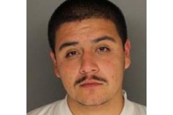 K9 Cop Nabs Fleeing Gang-bangers