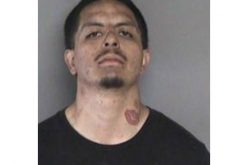 Burglary Botched by Witnesses, Rapid Police Response, Car Collision