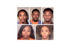 Customers Tackled, Stop Apple Store Thieves