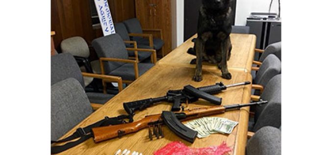 Infamous ‘Traffic Stop’ Reveals Drugs, Guns in Crescent City