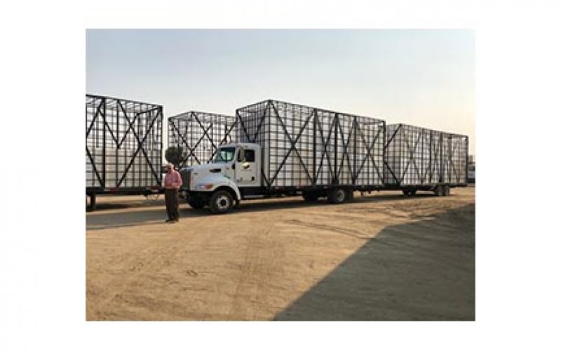 Fake Fruit-Packing Business Spans Three Counties