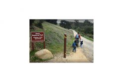 2 Men Arrested after Gunfire at Garin Regional Park