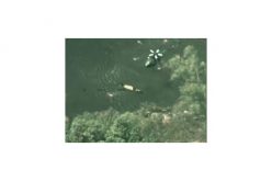 Land, Water, and Air – This Chase Had All Three Elements