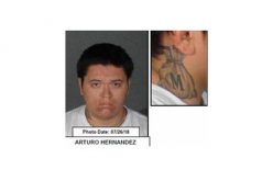 Burglary-Robbery Task Force Arrests Four “Knock-Knock” Suspects, Asks “Were You A Victim Too?”