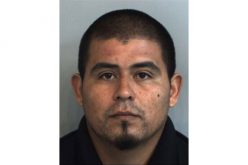 1,835 Marijuana Plants Found in Glenn County Grow