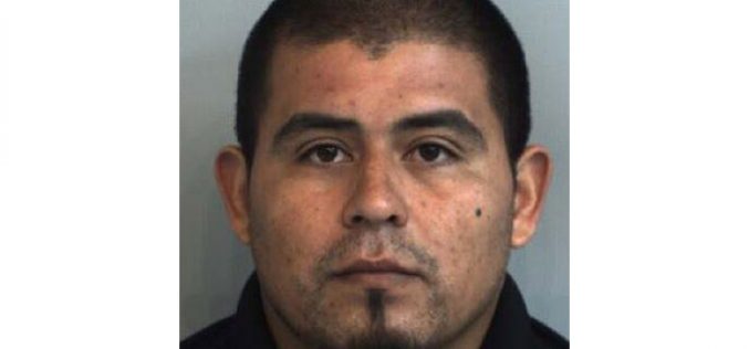 1,835 Marijuana Plants Found in Glenn County Grow