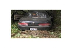 Fight, Flee, Arrests for Publicly Intoxicated Young Quartet