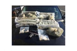 DUI on 99 South Turns into Drug Arrest