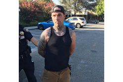 74 MPH Started It, K-9 Russell Ended It