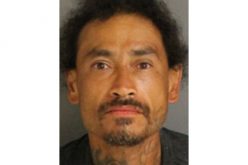 Car Thief Caught as K9 Bites Cop