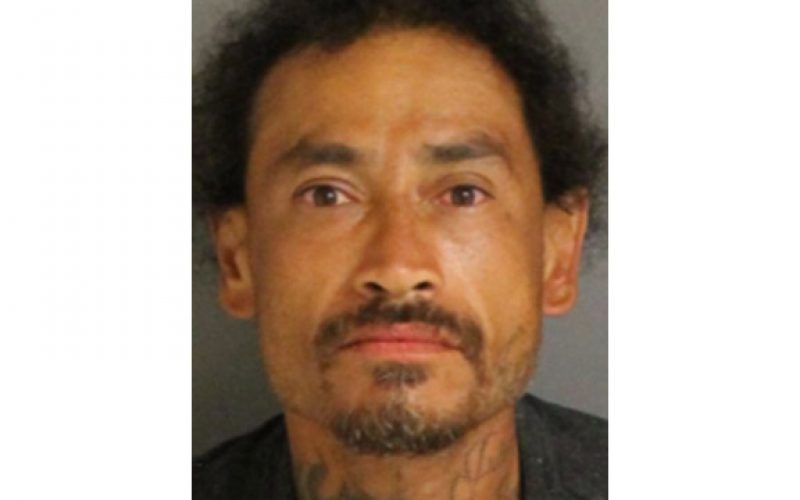 Car Thief Caught as K9 Bites Cop