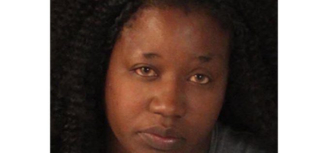 She Stole a Power Tool, Fled with Child in Car