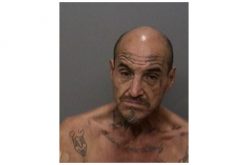 Thor Subdued Carl Cotter in His Violent Resistance