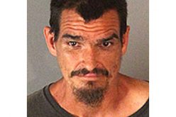 Jurupa Valley deputies confiscate 169 pot plants in arrests