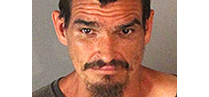 Jurupa Valley deputies confiscate 169 pot plants in arrests