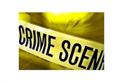 Unlawful cannibas grow site discovered and eradicated