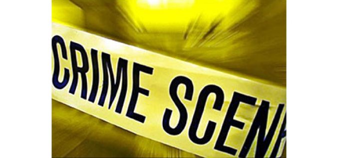 4 arrested at illegal marijuana grow site