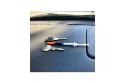 Convicted Felon/Probationer Driving Stolen Car Arrested for Several More Crimes