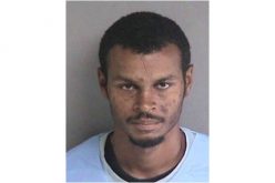 Carjacking Suspect Caught with Help from GPS, Drones and Police Dog