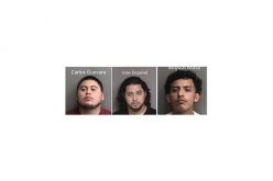 3 Men Arrested for Fatal Shooting Incident at Birthday Party