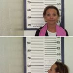 Dawn Wells Mugshot