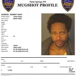 Gary Dourdan Mugshot